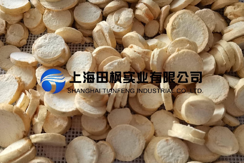 人參凍干：中藥材凍干機(jī)，人參真空冷凍干燥技術(shù)